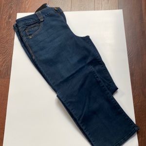 Democracy Ab Solution Jeans/Jegging size 14
